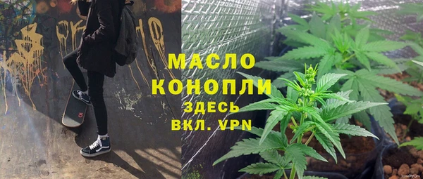 прущие крисы Бородино