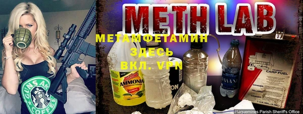 прущие крисы Бородино
