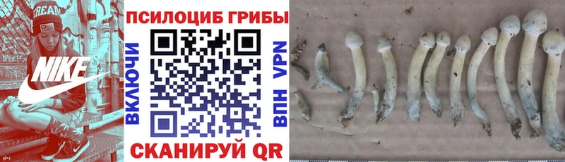 Псилоцибиновые грибы ЛСД Купить где Пенза